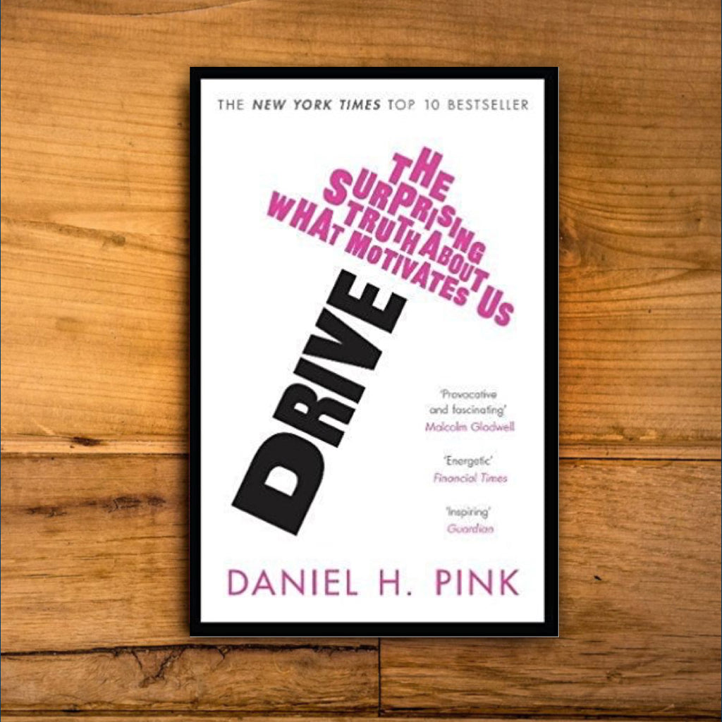 Drive : The Surprising Truth About What Motivates Us by Daniel Pink – Rebel  Playbook Supply Store (UK)