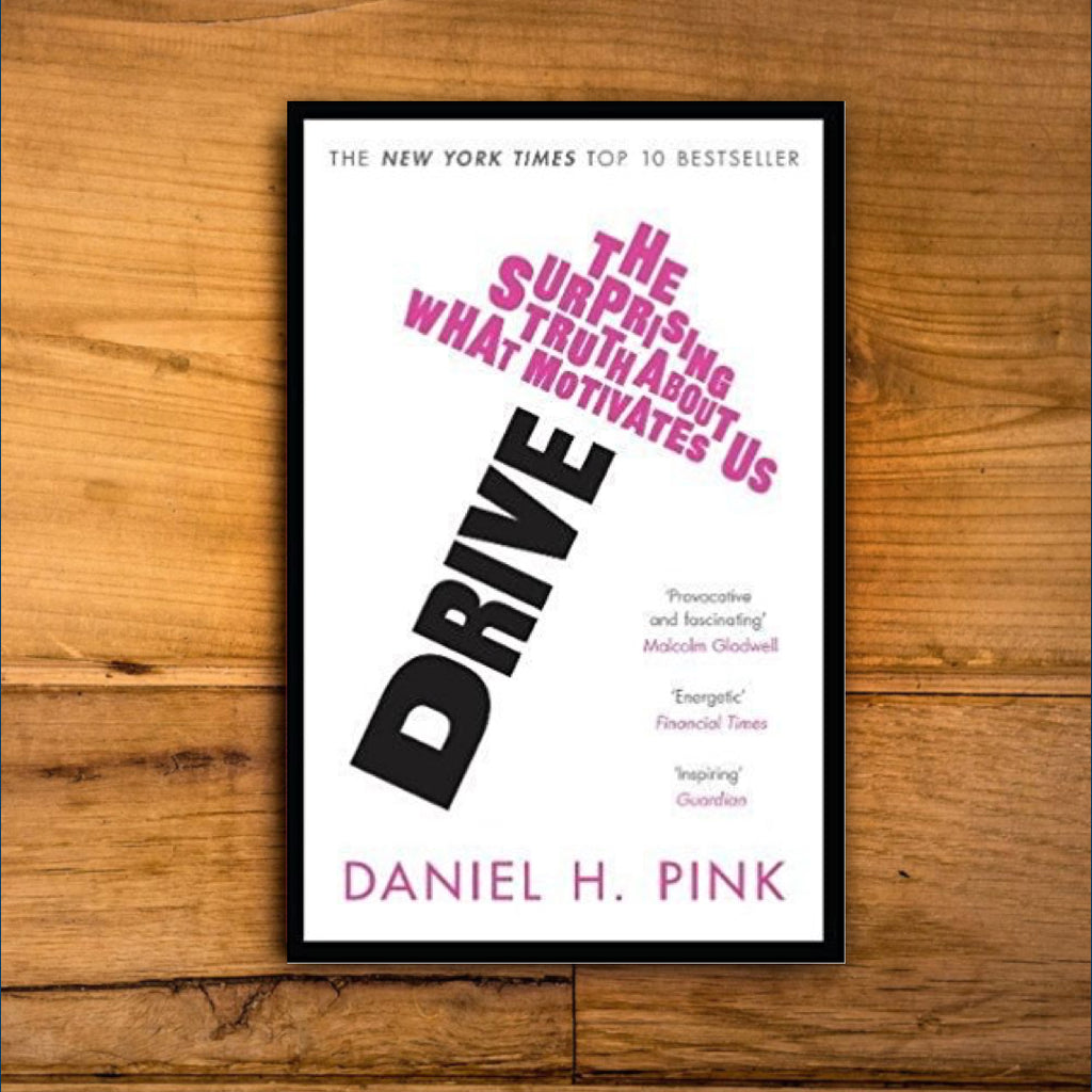 Drive : The Surprising Truth About What Motivates Us by Daniel Pink – Rebel Playbook Supply Store (UK)