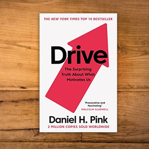 Drive : The Surprising Truth About What Motivates Us by Daniel Pink